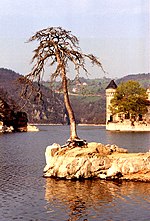 Miniatura para Saint-Priest-la-Roche