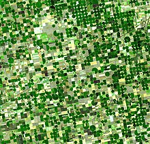 Fotografia de satélite de uma área com diferentes lavouras, que formam uma espécie de malha com diferentes tonalidades de verde e bege. Alguns componentes desta malha possuem formato circular.