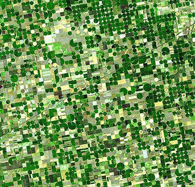 circular crop fields