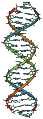 DNA molecular structure.
