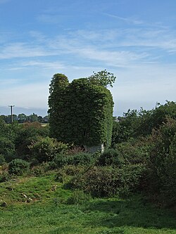 Ruins of Derryleamleary Castle in Castlederry townland in Desertserges