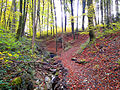 Fürtlibach im Tobel mit unterspülter Ufermauer; Blick Richtung Rütihof