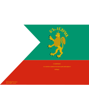 Flag of Stiliana Paraskevova.svg