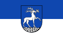 Drapeau de Drensteinfurt