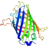 Protein huỳnh quang xanh lục