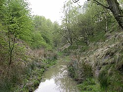 Mengleudh ganister yn Astbury ogas dhe Gongleton, Konteth Stafford