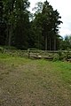 Gate into Chedworth Woods