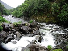 A rocky stream in Hawaii Hawaii Creek.jpg