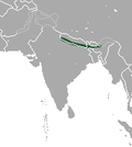 Aire de répartition du Lièvre d'Assam