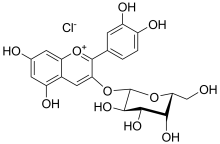 Structure of ideain chloride