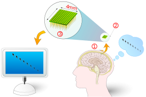 Brain-computer interface schema