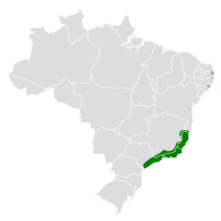Distribución geográfica de la cotinguita pipra.