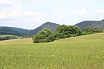 Trockenrasenbiotop auf dem sogenannten Lauskogel