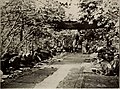 Amban Ç Ta-zenin Nar-Bağı yolundakı qonaqları, 1912-ci il