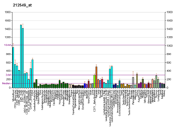 PBB GE STAT5B 212549 в формате fs.png