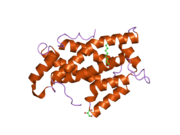 1wbe: X-RAY STRUCTURE OF BOVINE GLTP