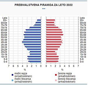 Prebivalstvena piramida je grafični prikaz starostne in spolne sestave prebivalstva. Dolžina posamezne črte v grafikonu prikaže delež prebivalcev v posamezni starostni skupini. Deleži prebivalcev so prikazani na levi strani, deleži prebivalk pa na desni strani piramide.