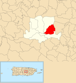 Location of Quebrada Grande within the municipality of Barranquitas shown in red