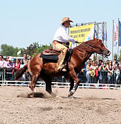 Compétition de reining, figure du spin, ou rotation rapide