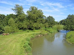 River Stour - geograph.org.uk - 183235.jpg