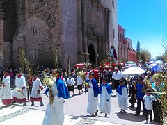 Domingo de Ramos en Actopan.