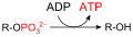 תמונה ממוזערת לגרסה מ־18:18, 31 בינואר 2010