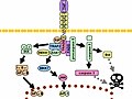 Hình xem trước của phiên bản lúc 18:14, ngày 8 tháng 12 năm 2010