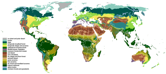 A map of a classification of the world's vegetation into biomes. Those named here include tundra, taiga, temperate broadleaf forest, temperate steppe, subtropical rainforest, Mediterranean vegetation, monsoon forest, arid desert, xeric shrubland, dry steppe, semiarid desert, grass savanna, tree savanna, subtropical and tropical dry forest, tropical rainforest, alpine tundra, and montane forests. Shown in gray is "ice sheet and polar desert" devoid of plants. Vegetation.png