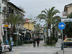 Via Versilia in Tonfano