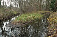 Zusammenfluss des Wietzegrabens (rechts) mit dem Schiffgraben hinter dem Misburger Wald