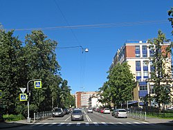 Вид от Большой Зелениной улицы