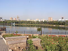 Pond view