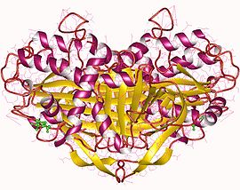 Image illustrative de l’article Ovalbumine