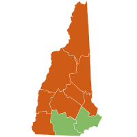 Primarias del Partido Republicano de 2008 en Nuevo Hampshire