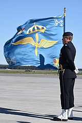 Honor guard with the wing's colour