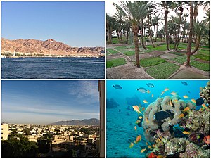 Aqaba city, from right to left and from above to below: Shatt Al-Ghandour Gardens, view of Aqaba, diving in Red Sea and Aqaba's skyline