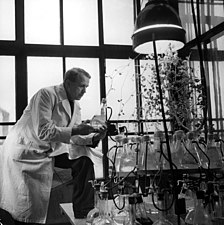 At his laboratory in 1949