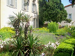 Garten hinter dem Haus der Familie Gachet