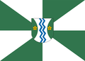 Bandeira de Doutor Pedrinho