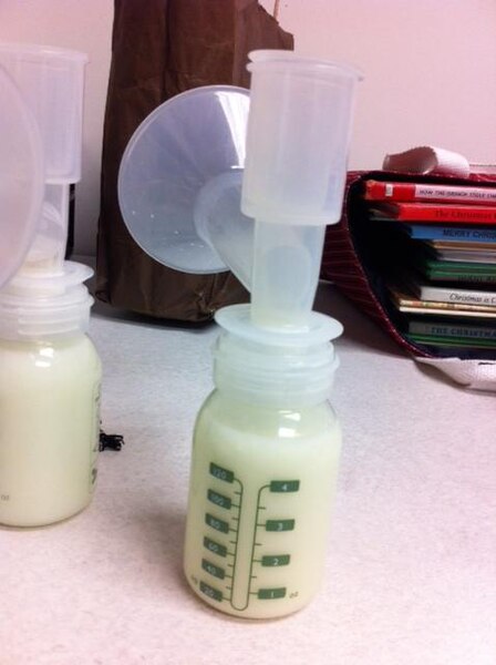 File:Bottle of Pumped Breast Milk.jpg
