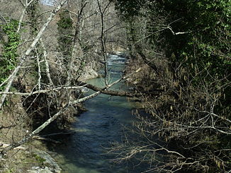 Da Ente bei Pontone (Montegiovi)