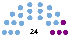 Elecciones provinciales de Santa Cruz de 2019