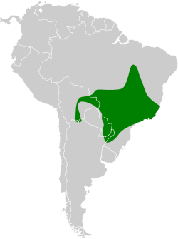 Distribución geográfica del mosquero terrestre sureño.