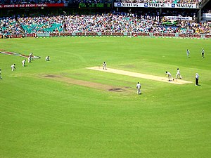 cricket wiki