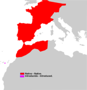 Aire de répartition du Musaraigne musette