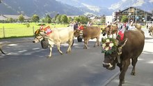 File:Der Abzug Engelberg Schweiz.ogv