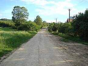 Drumul Feiurdeni-Pădureni