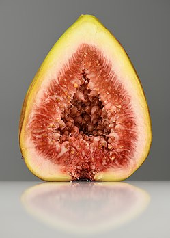 Coupe d'une figue, sycone de Ficus carica. (définition réelle 5 504 × 7 700)