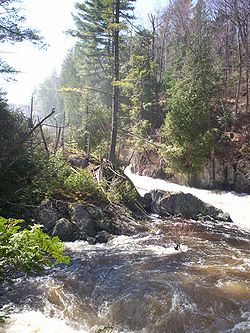 Franklin Falls in the Spring