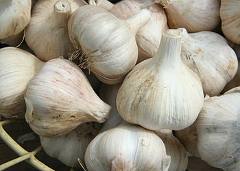 English: A basket of garlic (allium sativum) o...